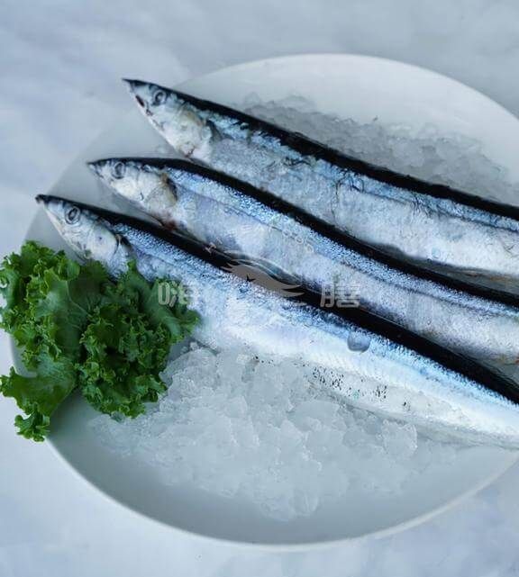 嚴選秋刀魚3尾