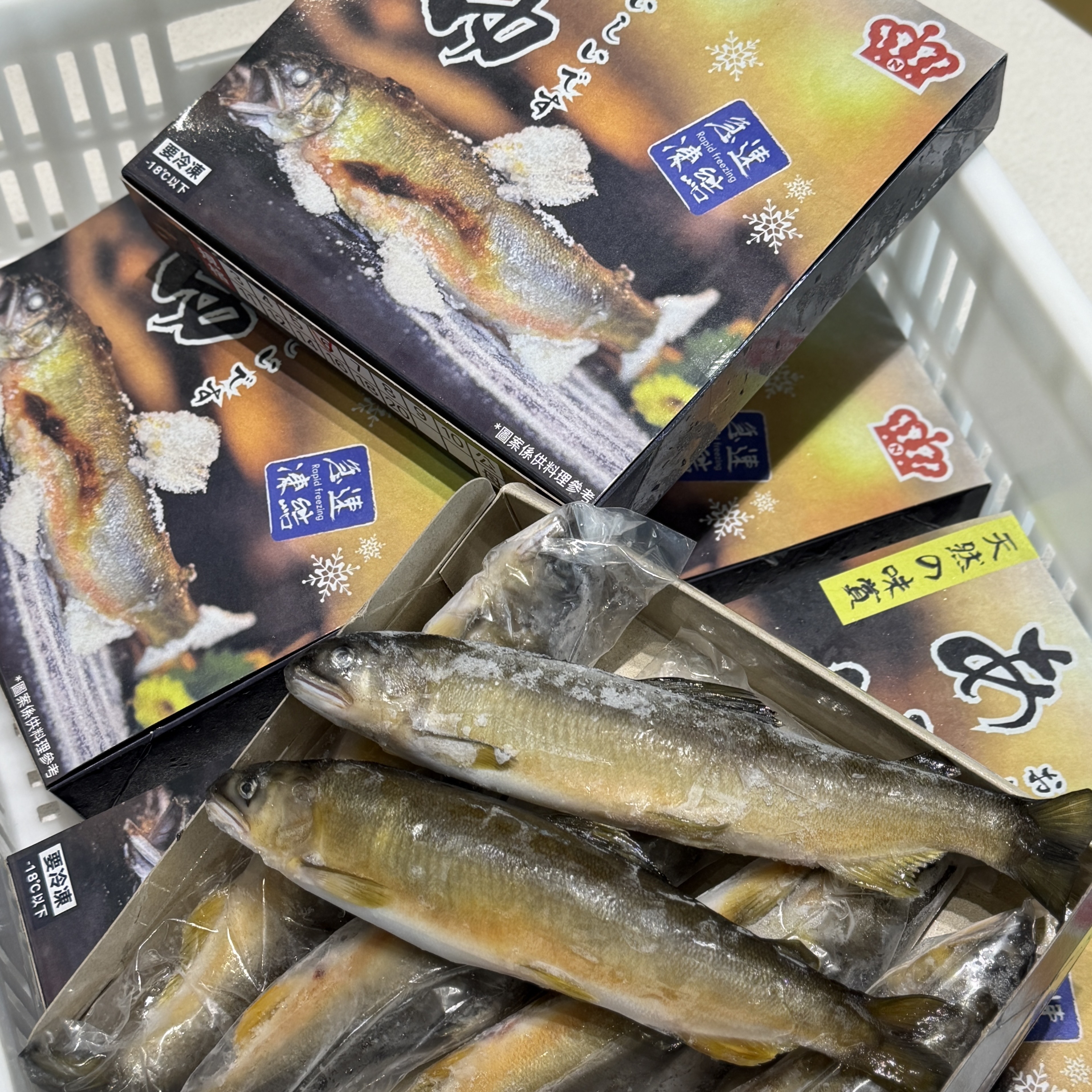 6尾公香魚