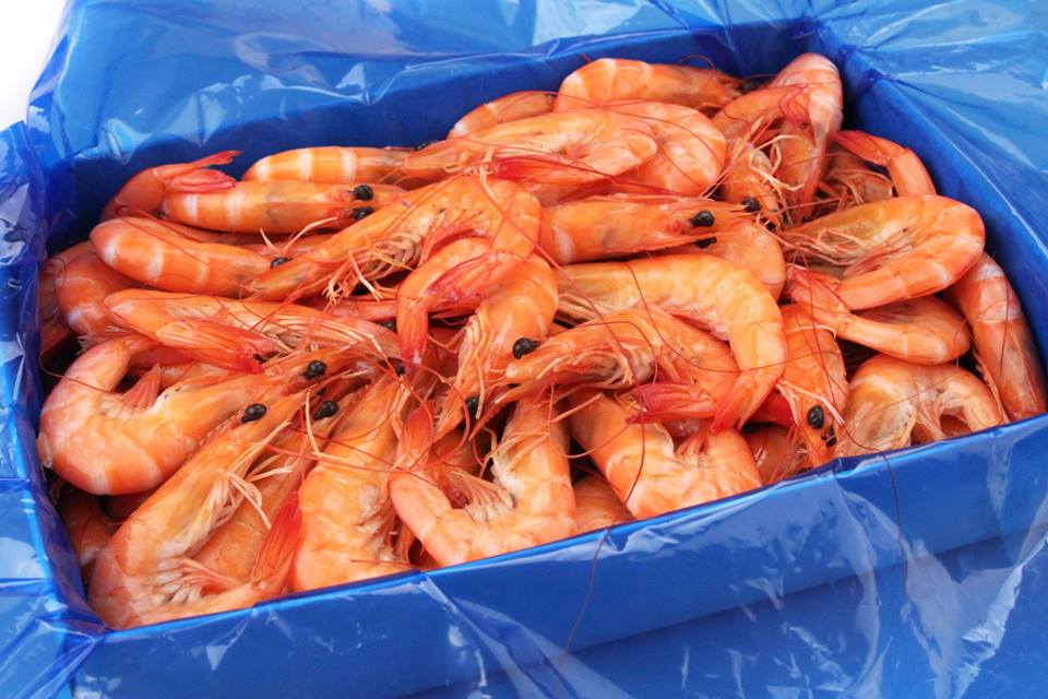40/50熟白蝦1kg