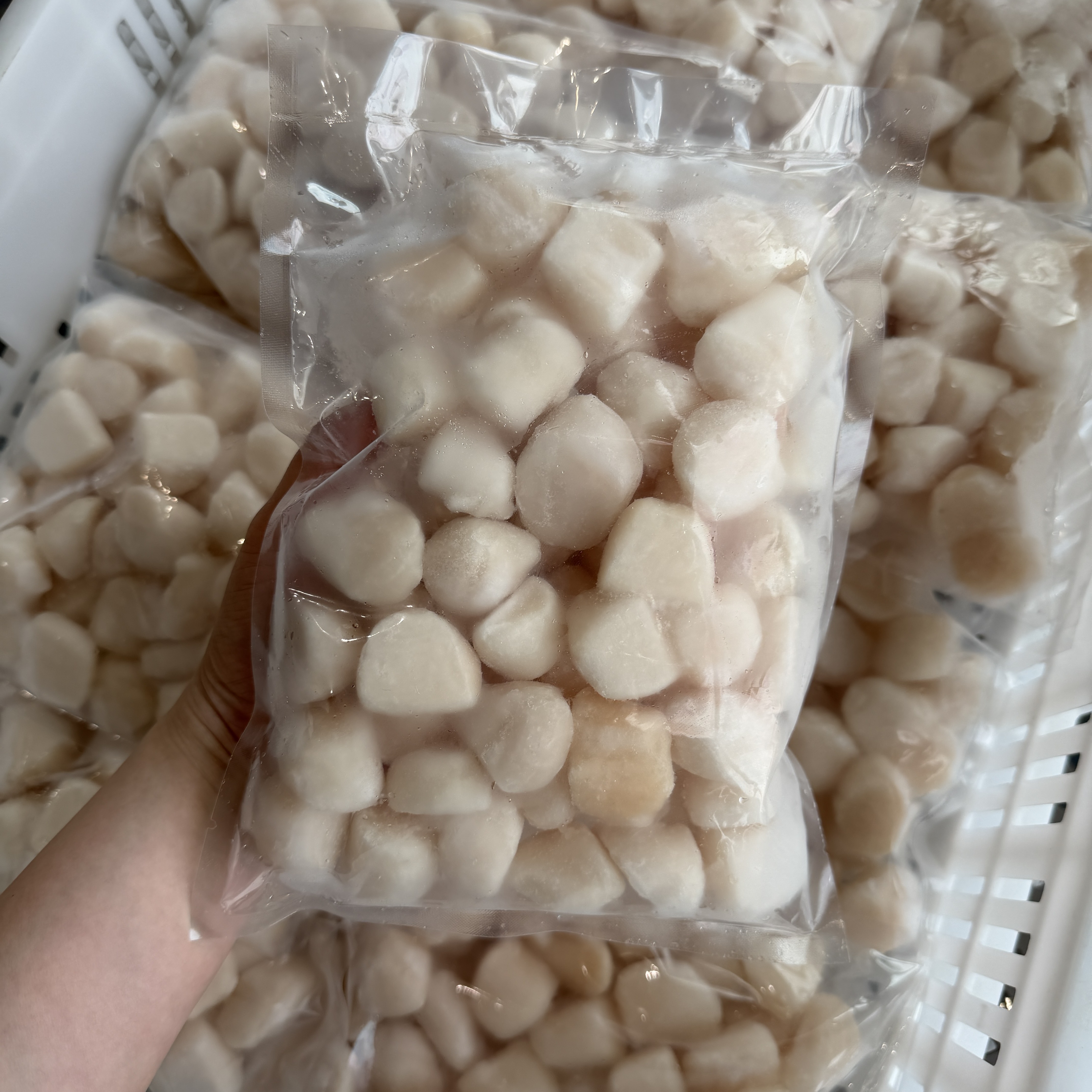 生食級海灣干貝500克